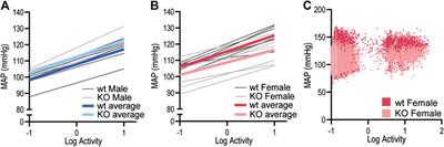 Deletion of Orphan G Protein-Coupled Receptor GPR37L1 in Mice Alters Cardiovascular Homeostasis in a Sex-Specific Manner